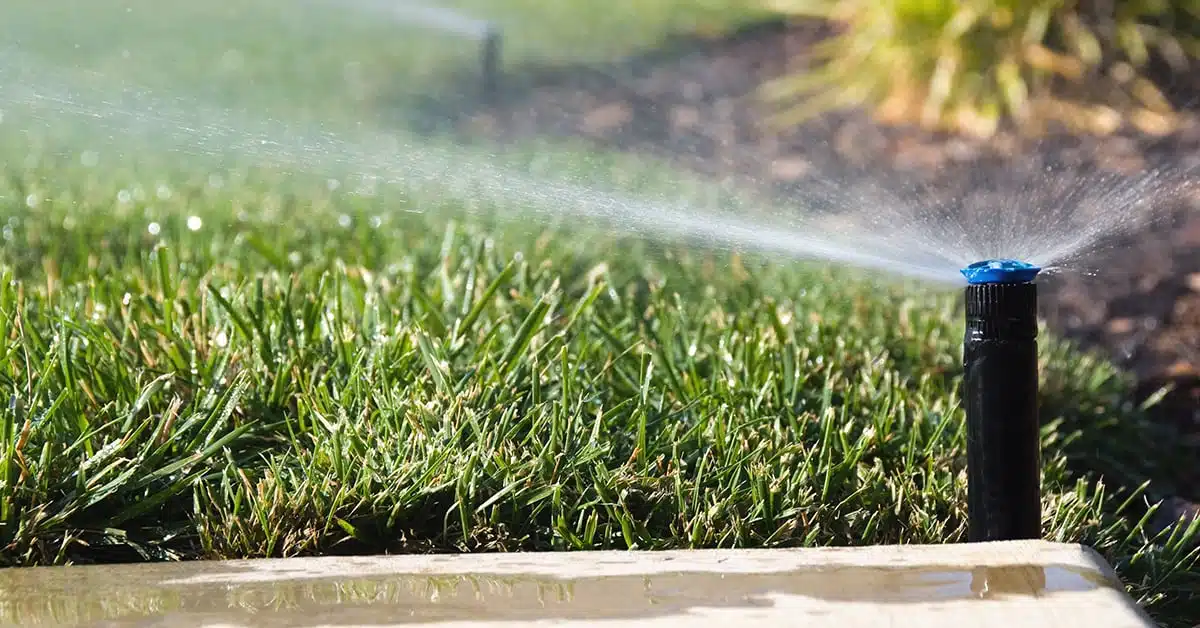 Optimiser son système d'irrigation les clés pour choisir sa pompe à eau et son moteur électrique